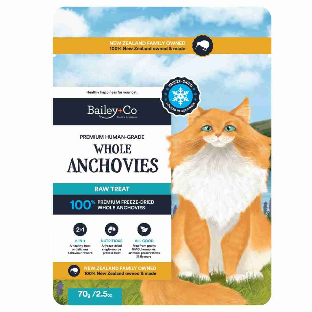 Online Pet Store Singapore